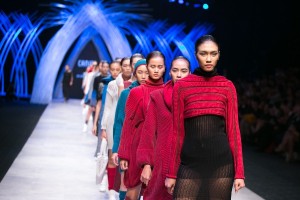 Tuần lễ thời trang quốc tế Việt Nam 2015 (Vietnam International Fashion Week 2015)
