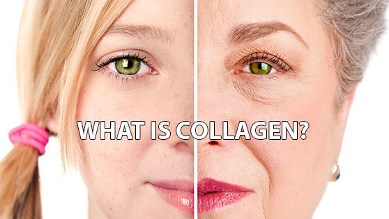 Collagen-than-duoc-cua-lan-da-tre-mai-cho-chi-em