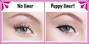 6 bước đơn giản cho đôi mắt Puppy hoàn hảo